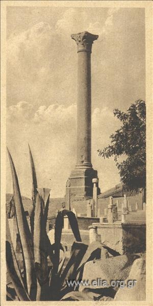 Alexandria. - Pompey Column.